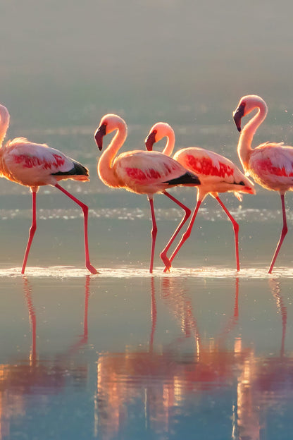 variant-60x90_no-margin