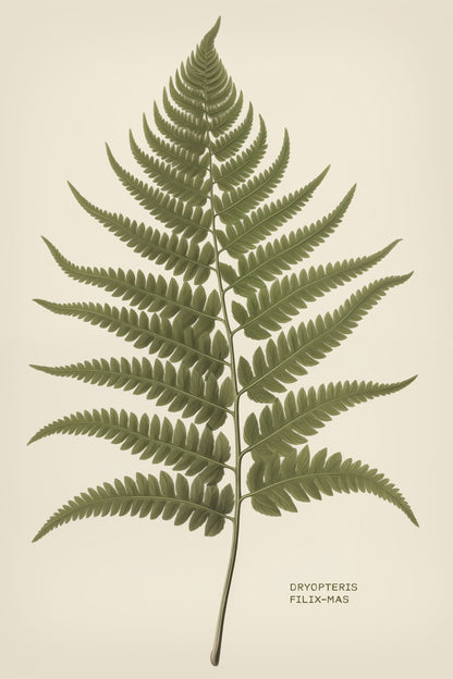 variant-60x90_no-margin