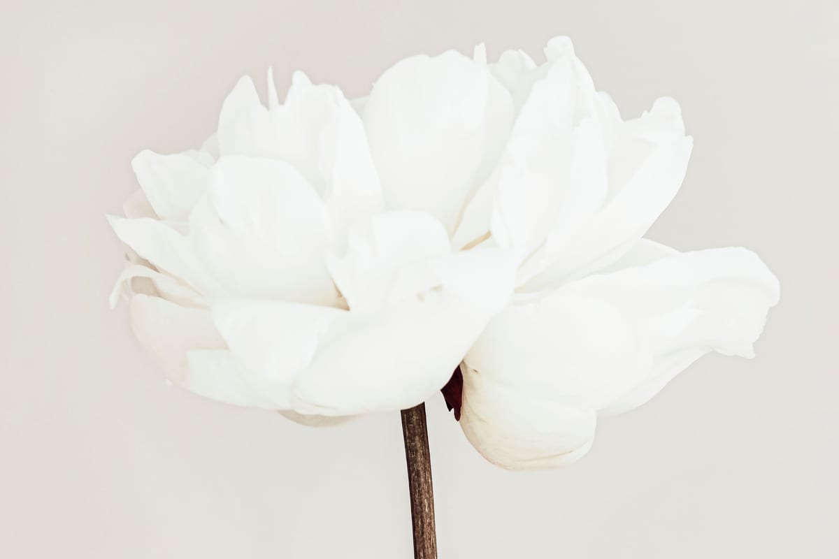 variant-60x90_no-margin