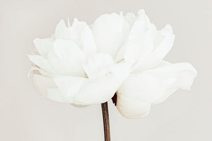variant-60x90_no-margin