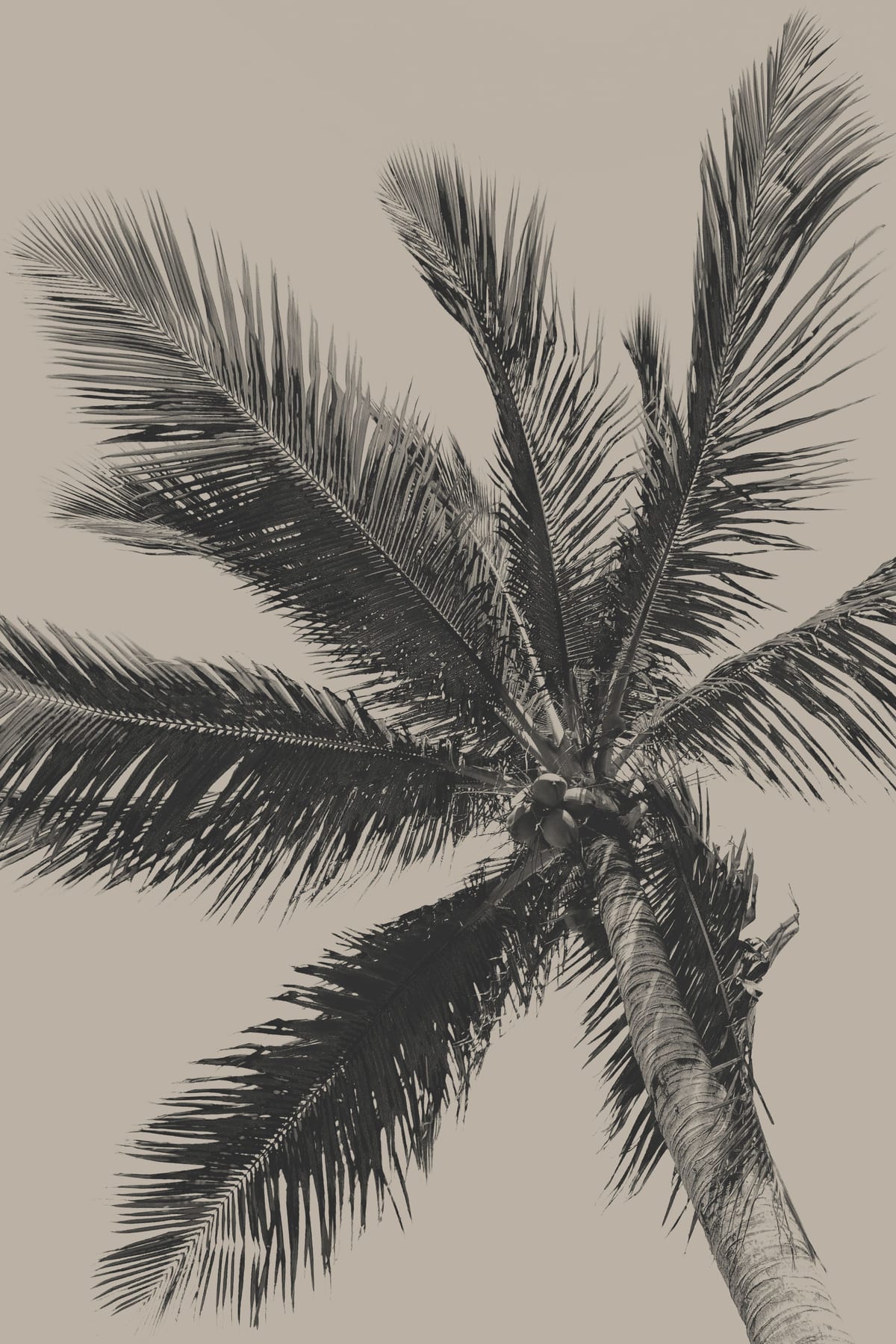 variant-60x90_no-margin