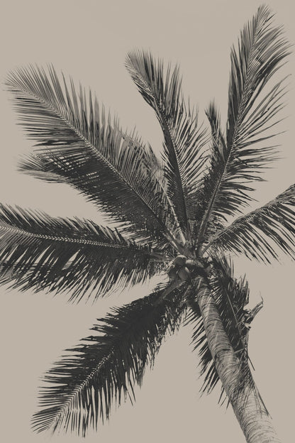 variant-60x90_no-margin