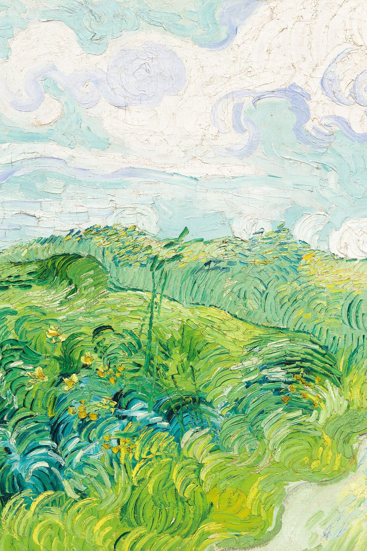 variant-60x90_no-margin