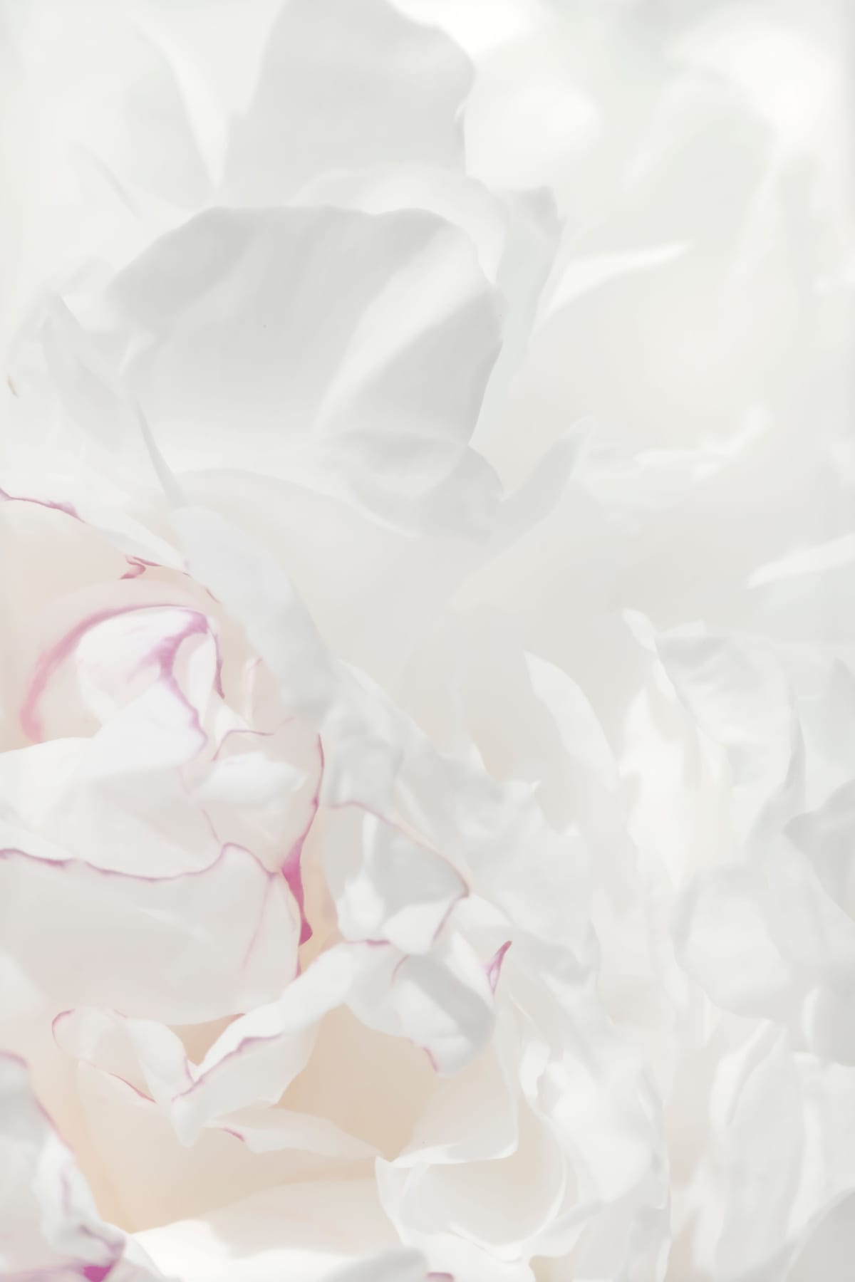 variant-60x90_no-margin