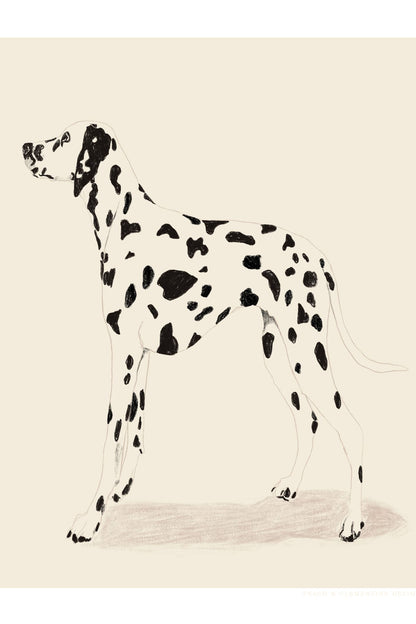 variant-60x90_no-margin