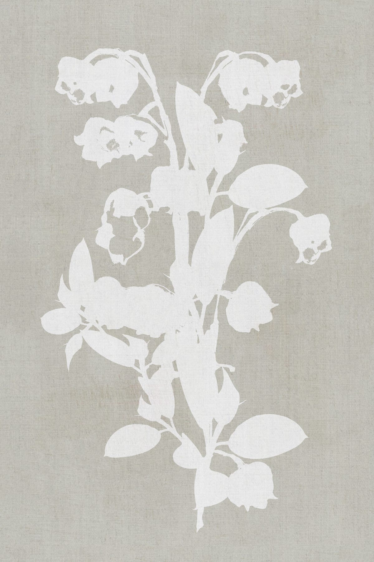 variant-60x90_no-margin