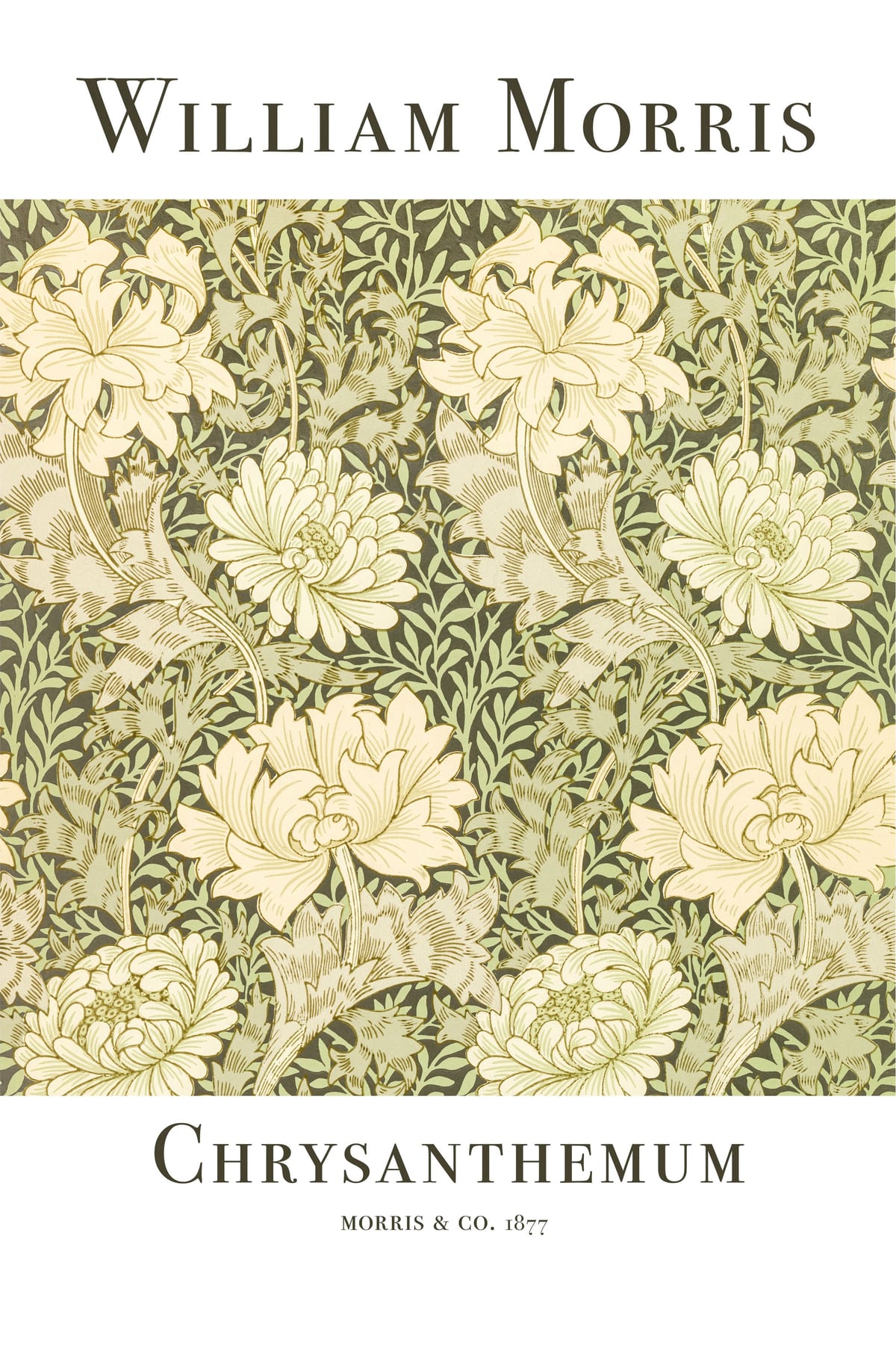 variant-60x90_no-margin