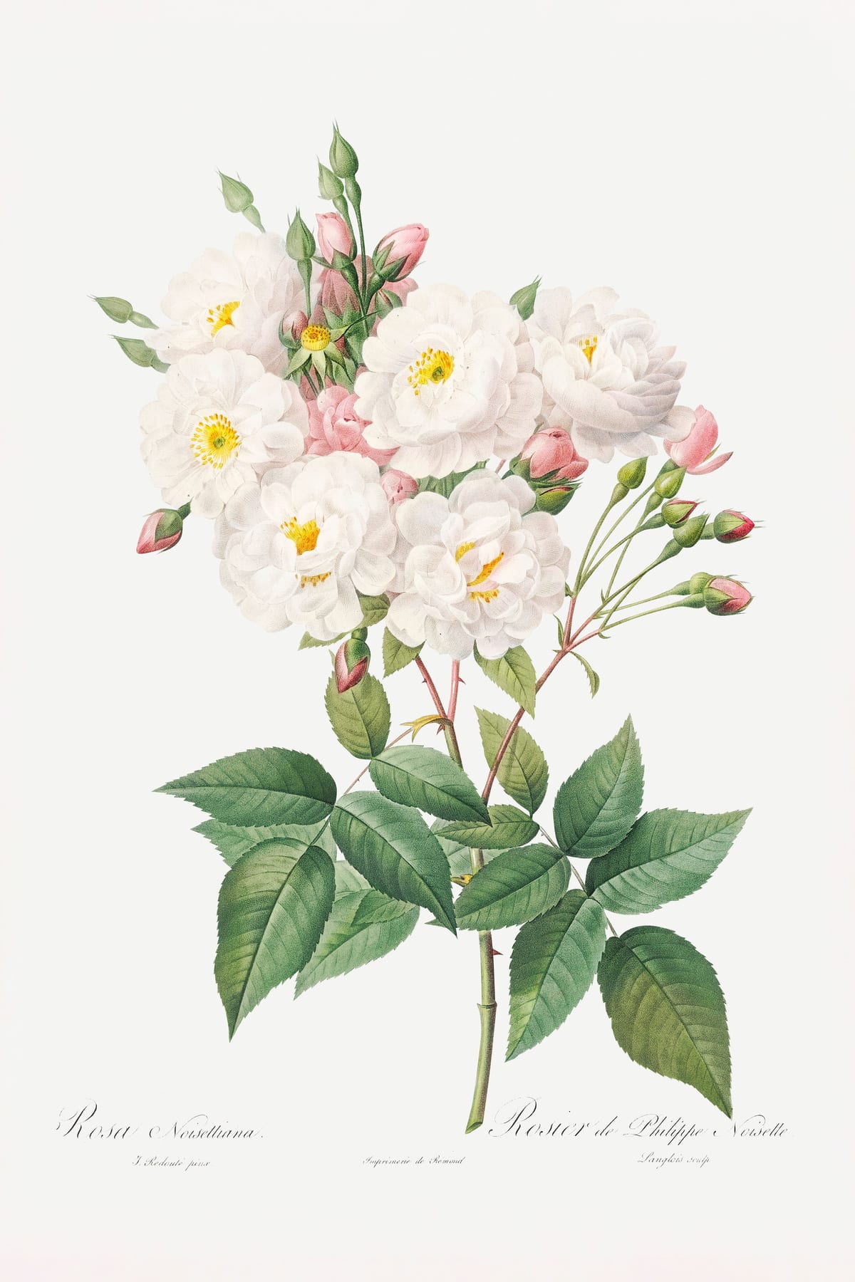 variant-60x90_no-margin