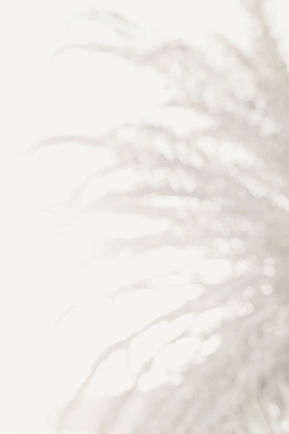 variant-60x90_no-margin