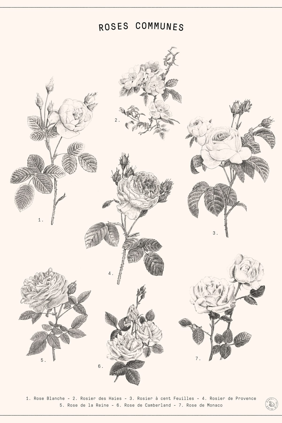 variant-60x90_no-margin