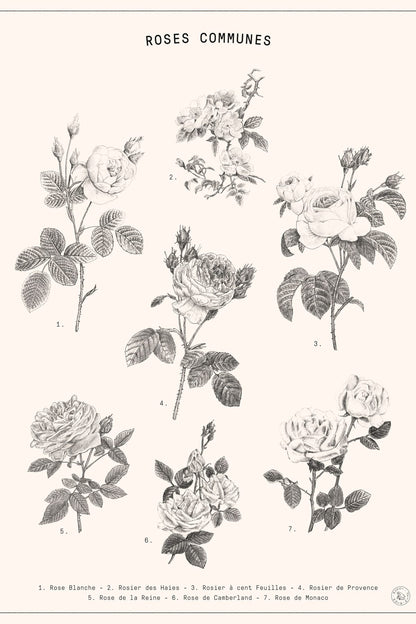 variant-60x90_no-margin