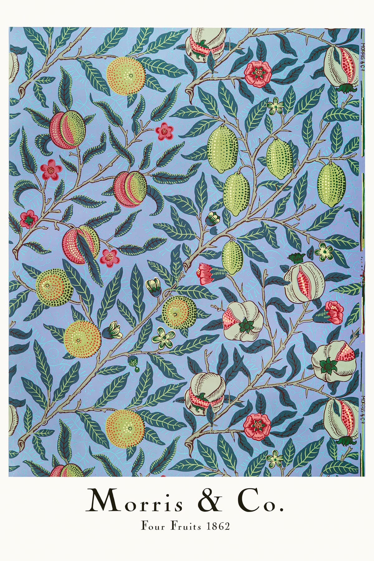 variant-60x90_no-margin