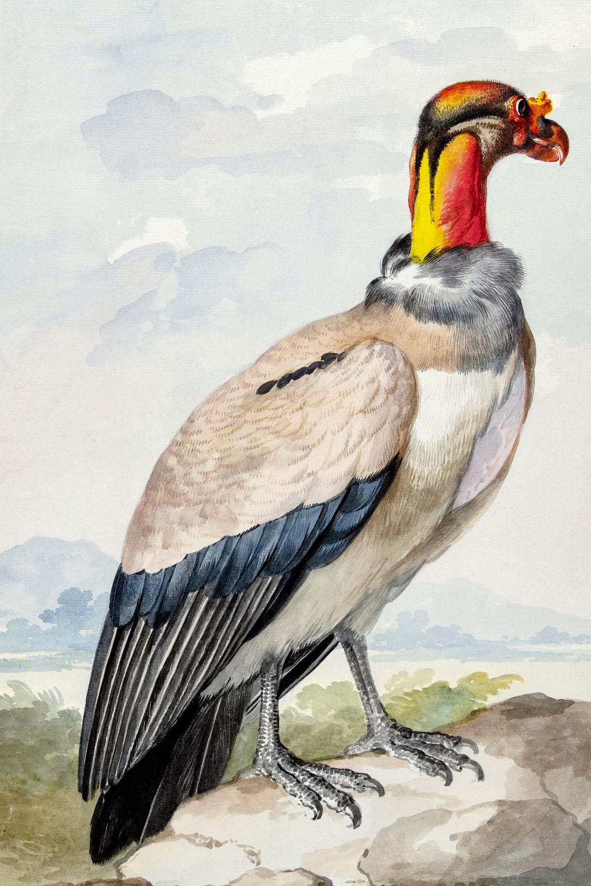 variant-60x90_no-margin