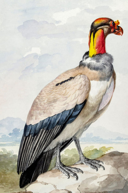 variant-60x90_no-margin