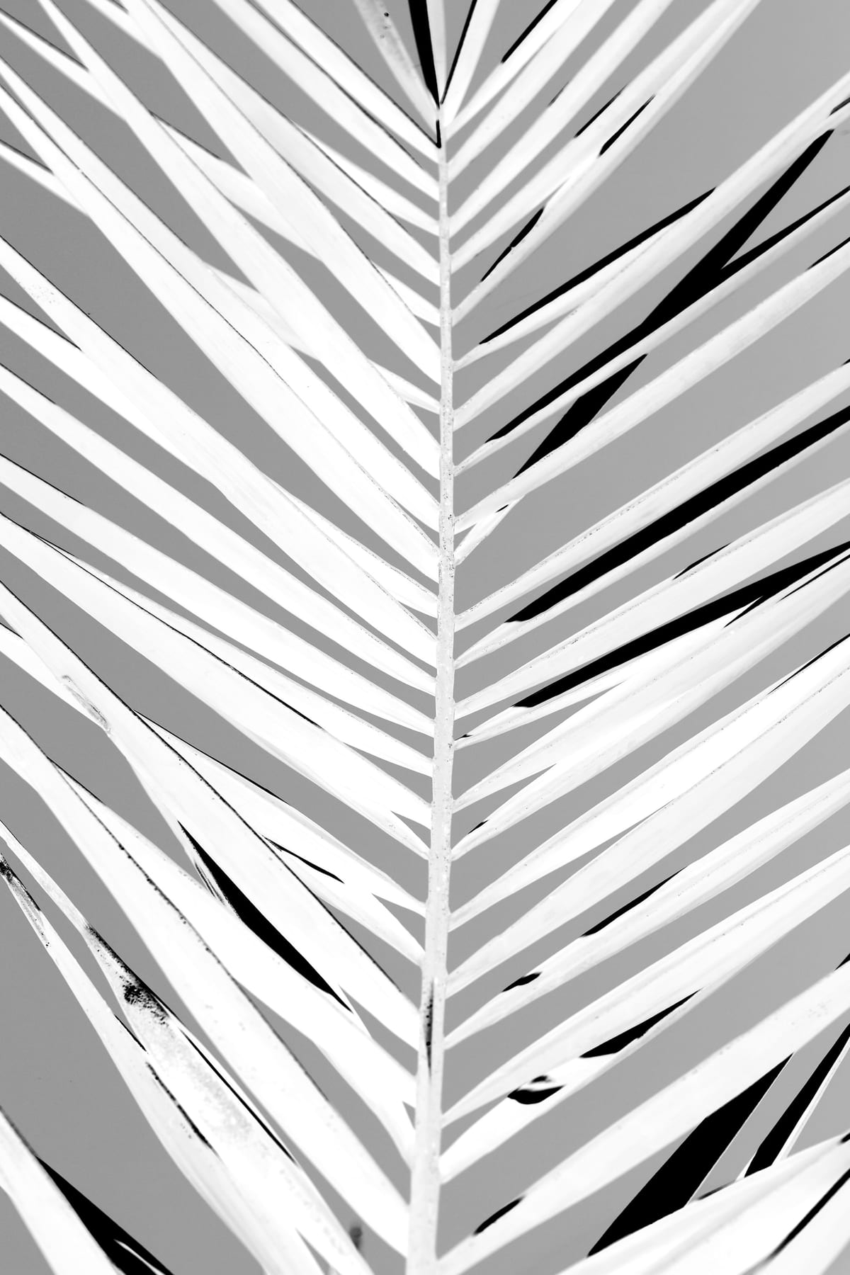 variant-60x90_no-margin