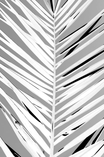 variant-60x90_no-margin