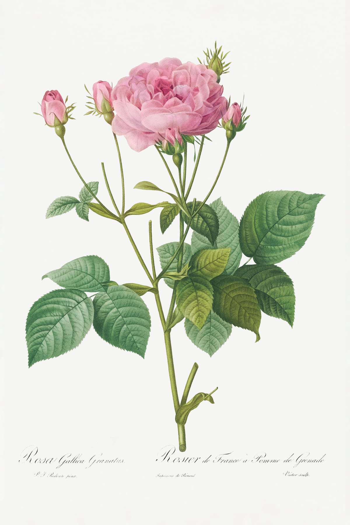 variant-60x90_no-margin