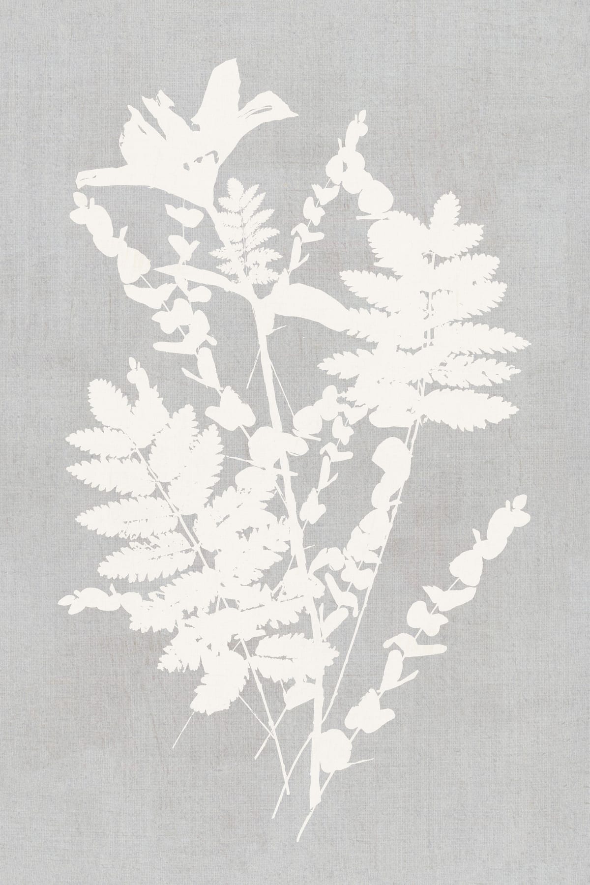 variant-60x90_no-margin