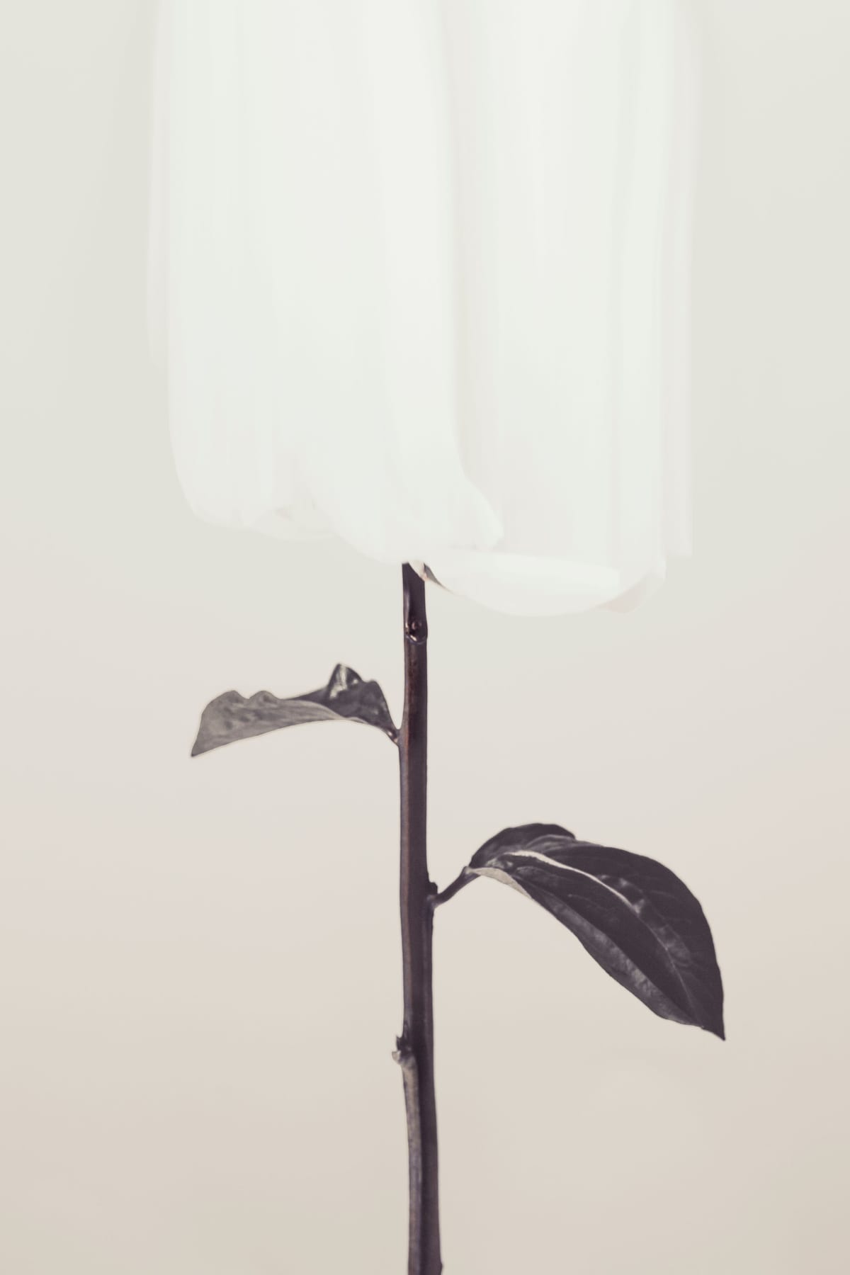 variant-60x90_no-margin