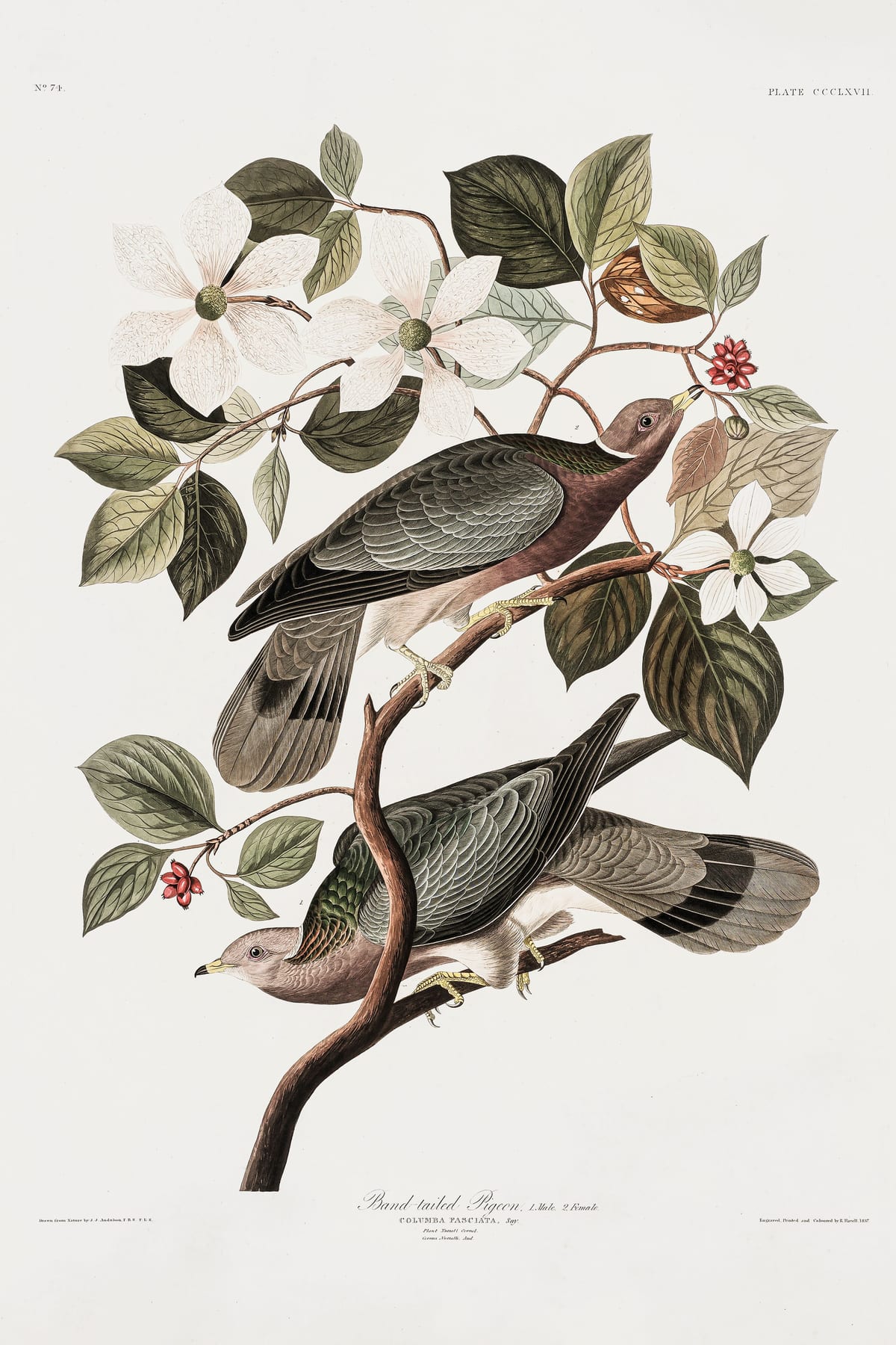 variant-60x90_no-margin