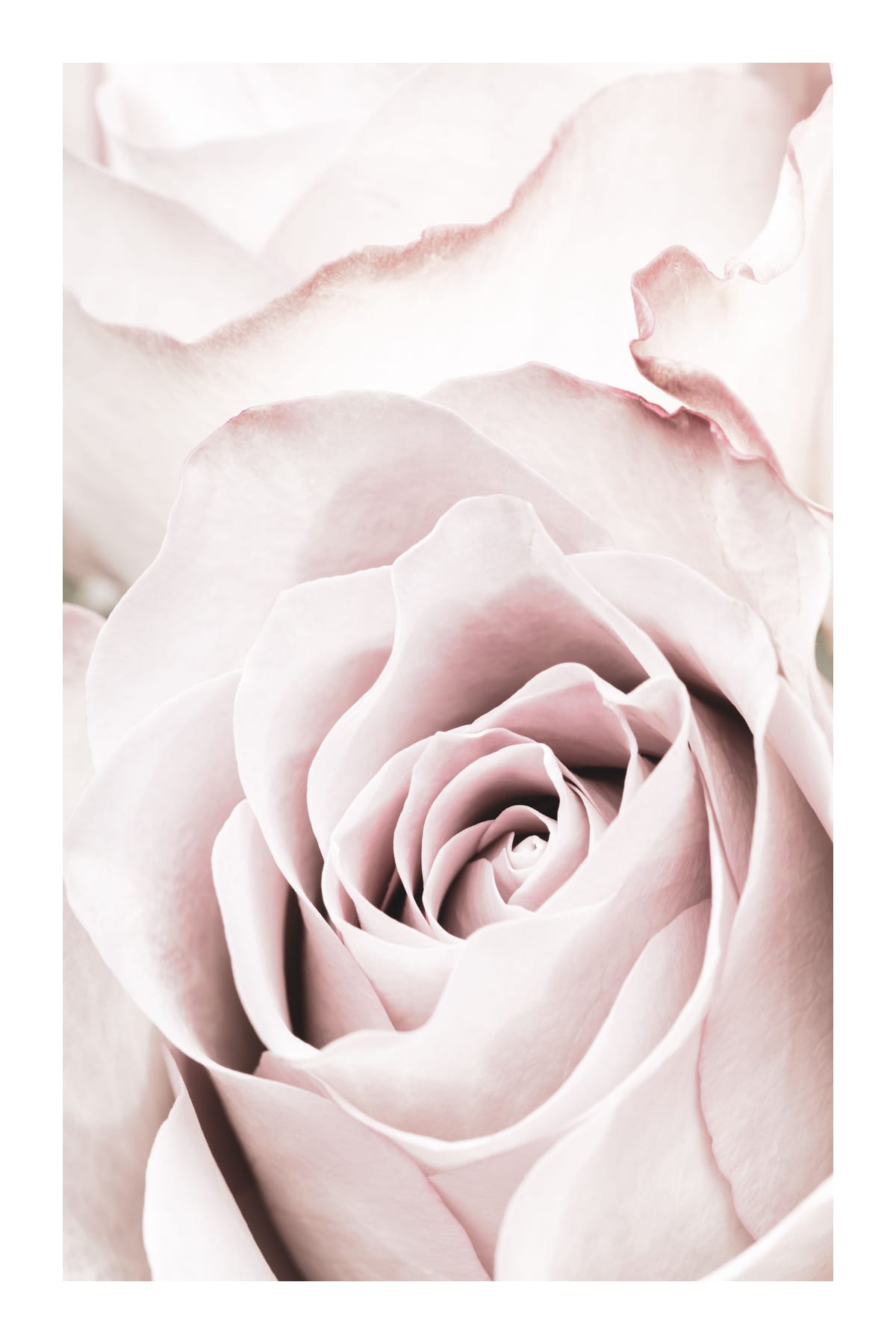 variant-60x90_with-margin