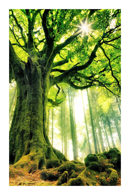 variant-60x90_with-margin