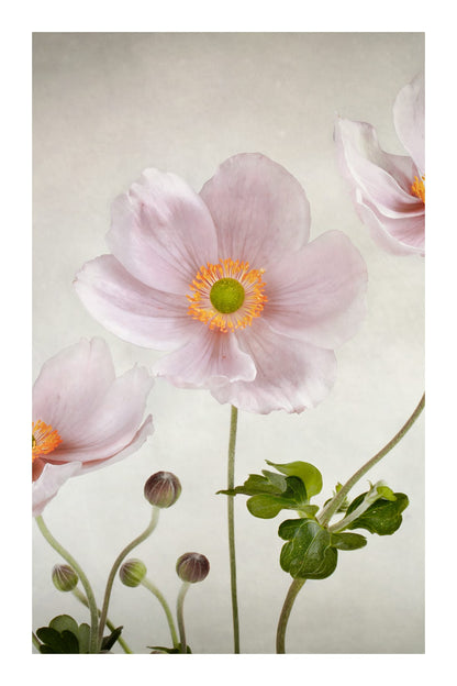 variant-60x90_with-margin