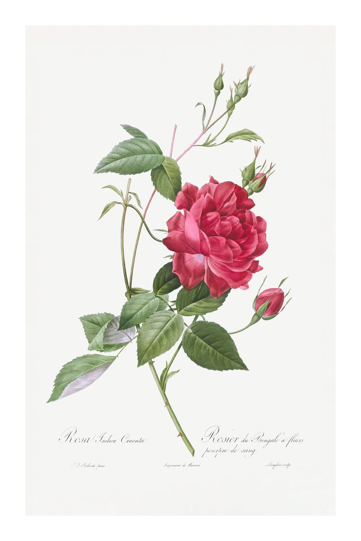 variant-60x90_with-margin