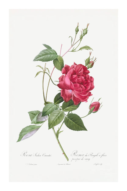 variant-60x90_with-margin
