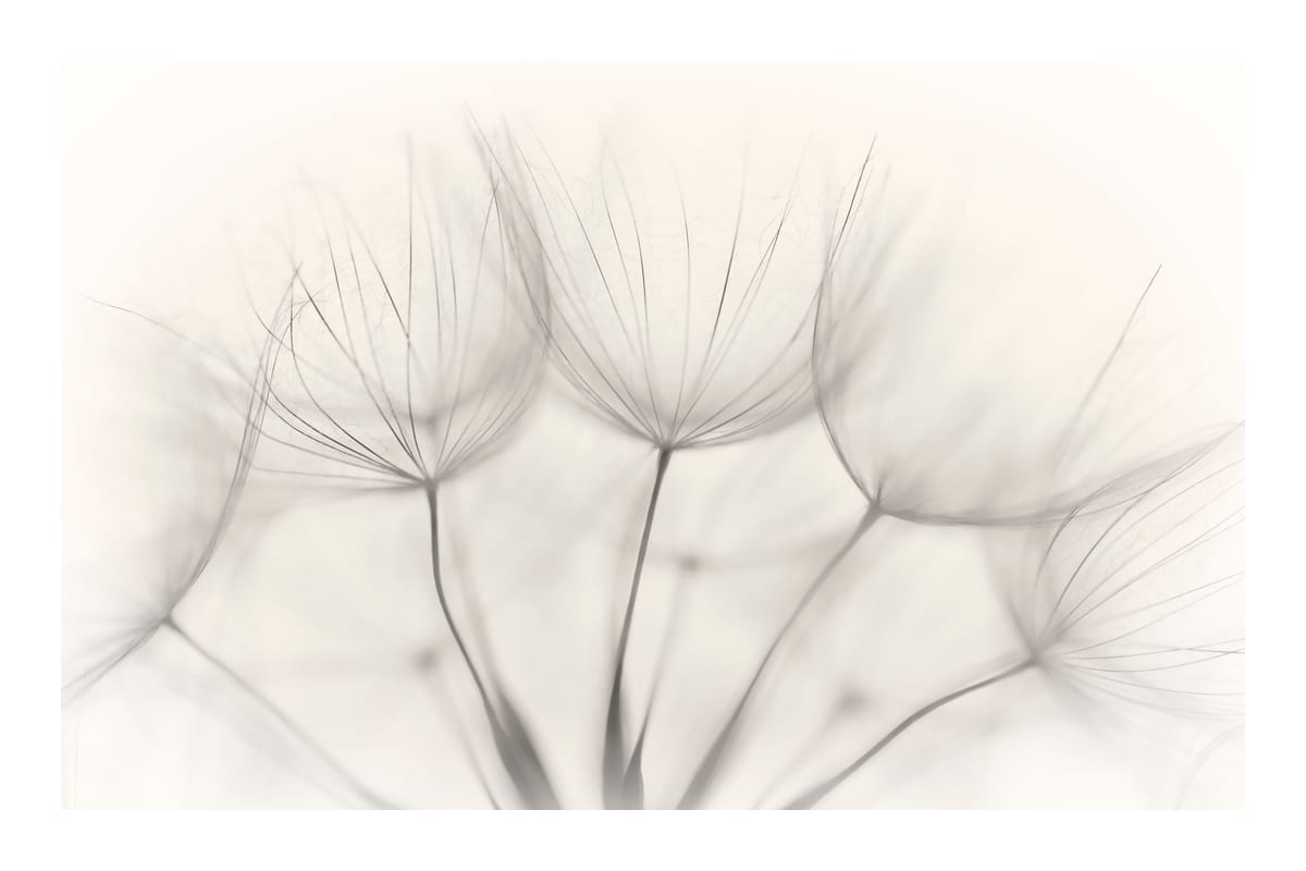 variant-60x90_with-margin