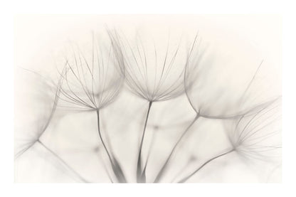 variant-60x90_with-margin