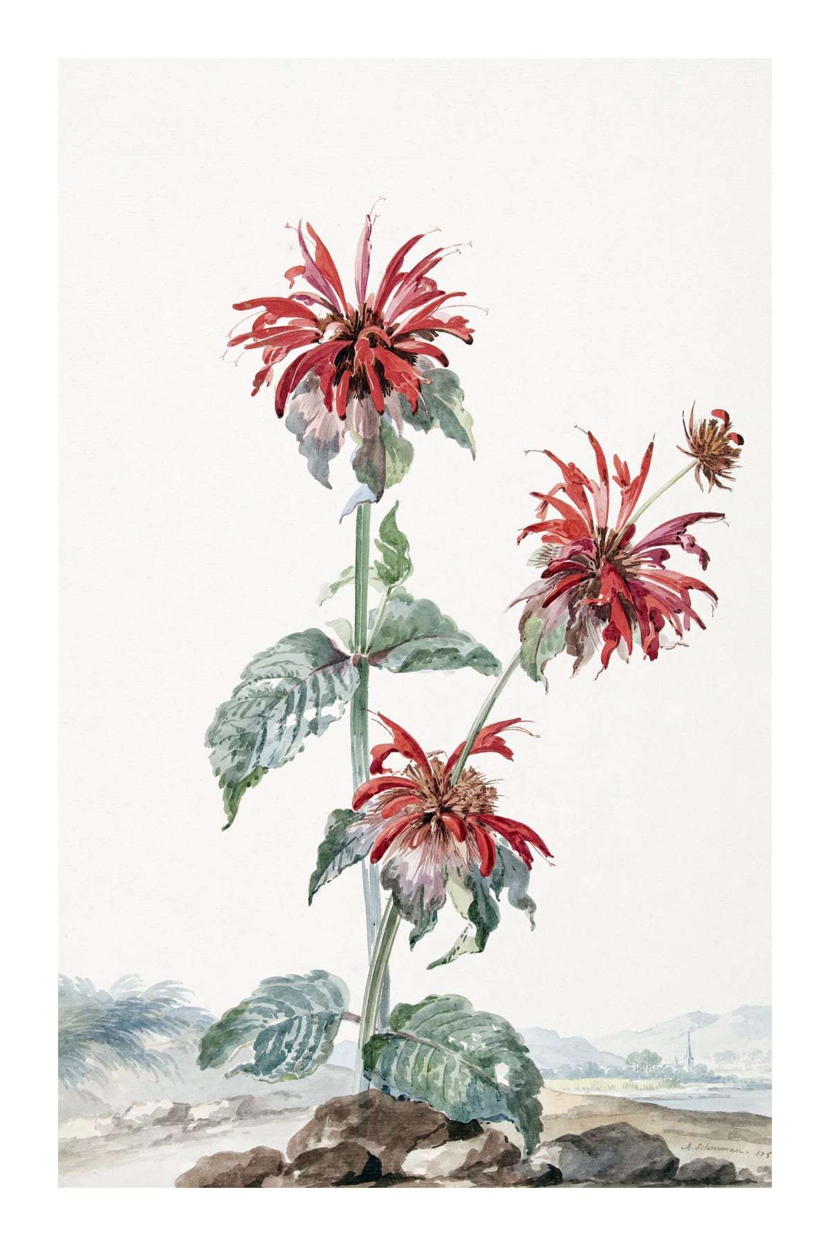 variant-60x90_with-margin