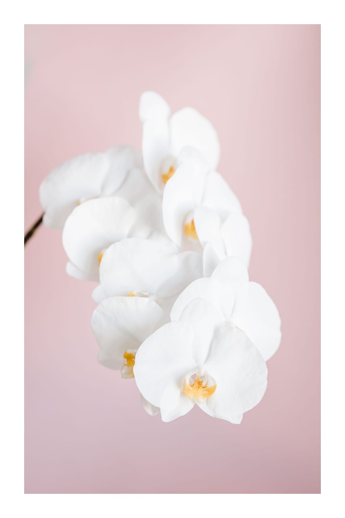 variant-60x90_with-margin