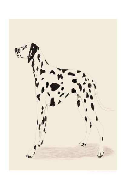 variant-60x90_with-margin