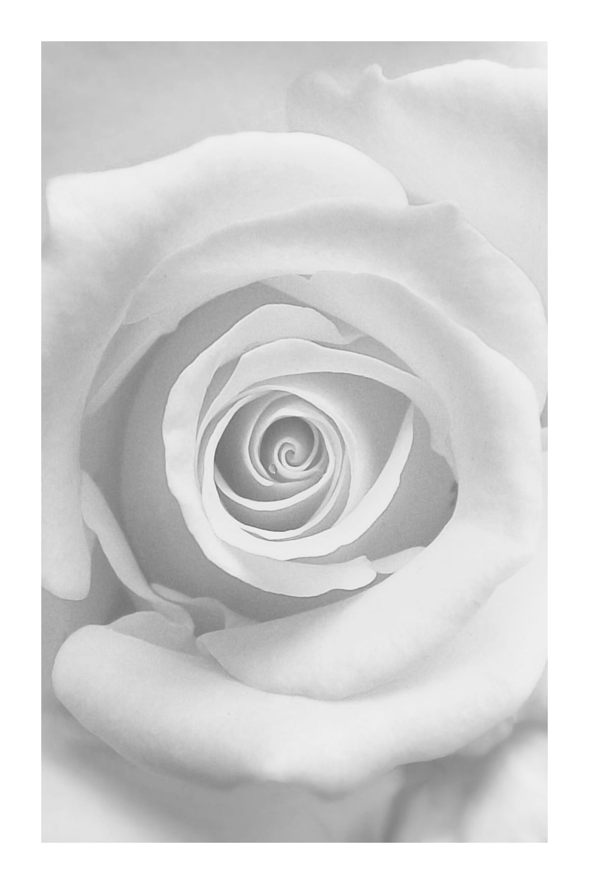 variant-60x90_with-margin
