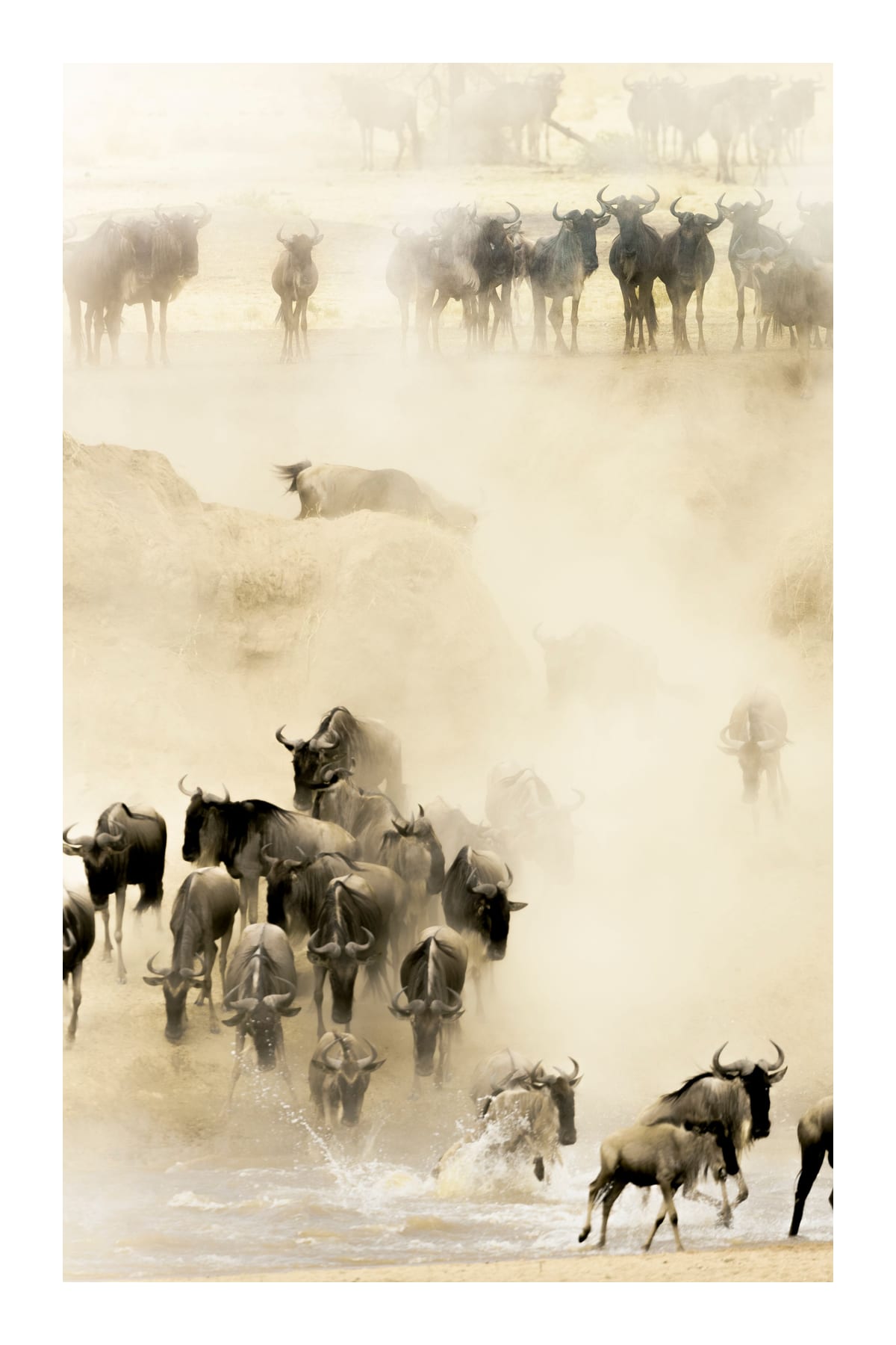 variant-60x90_with-margin