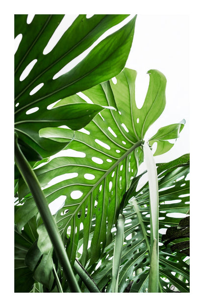 variant-60x90_with-margin