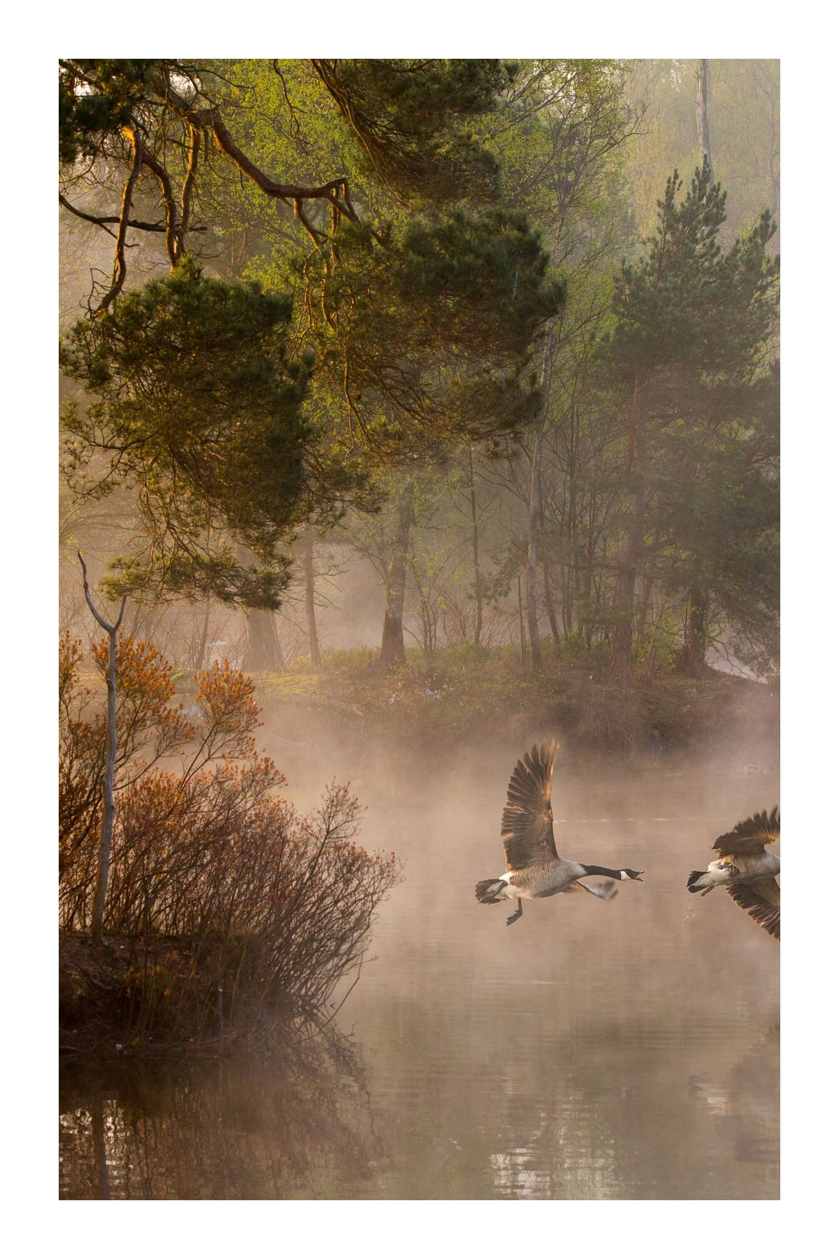 variant-60x90_with-margin