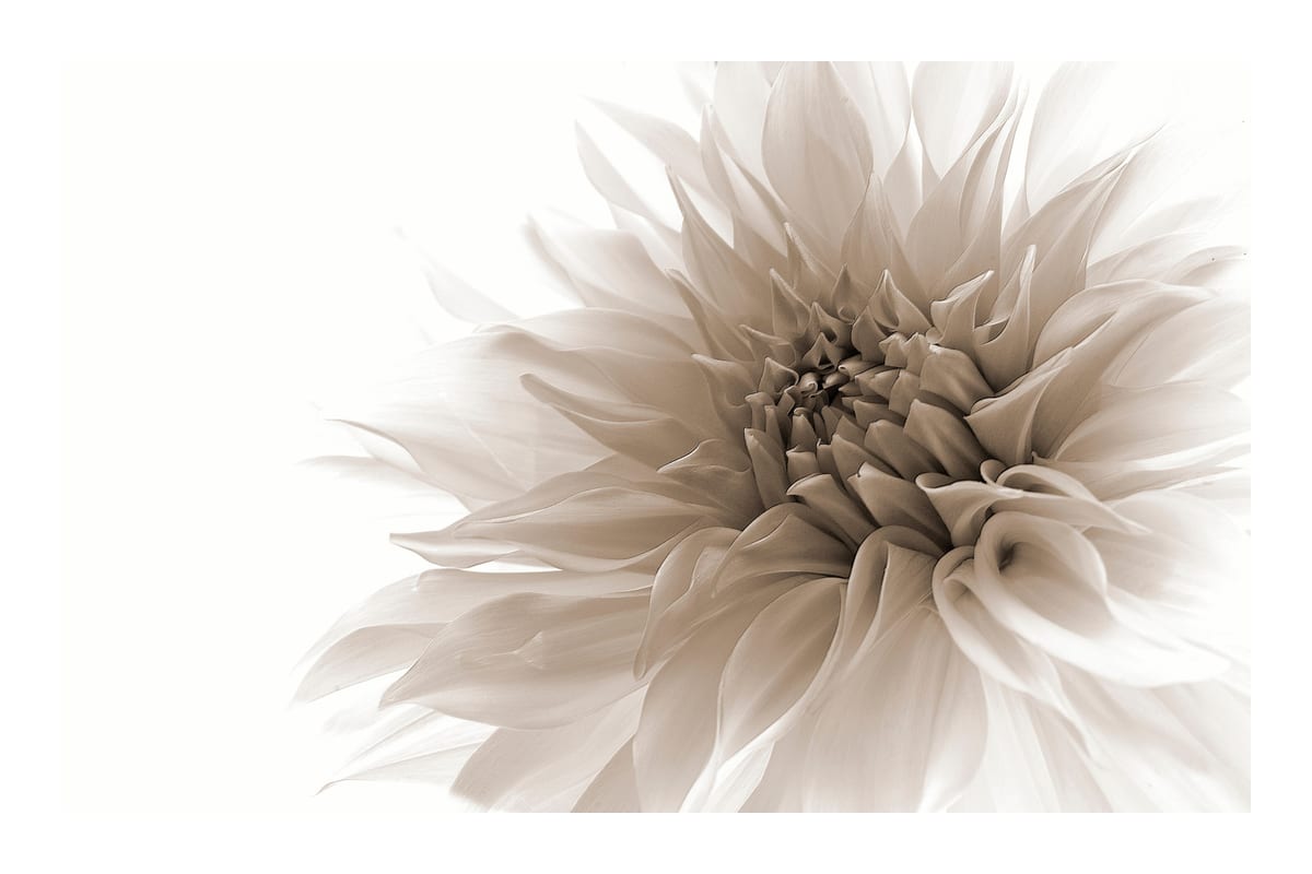 variant-60x90_with-margin