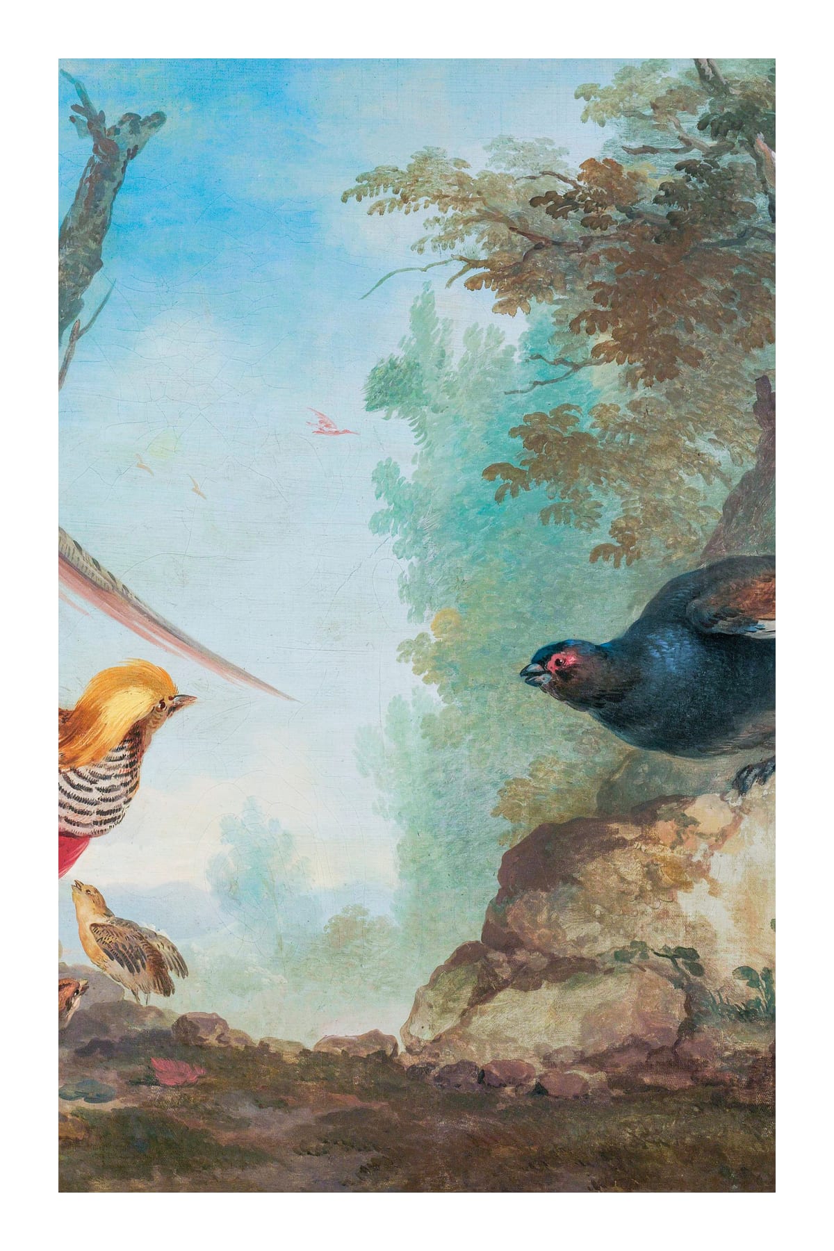variant-60x90_with-margin