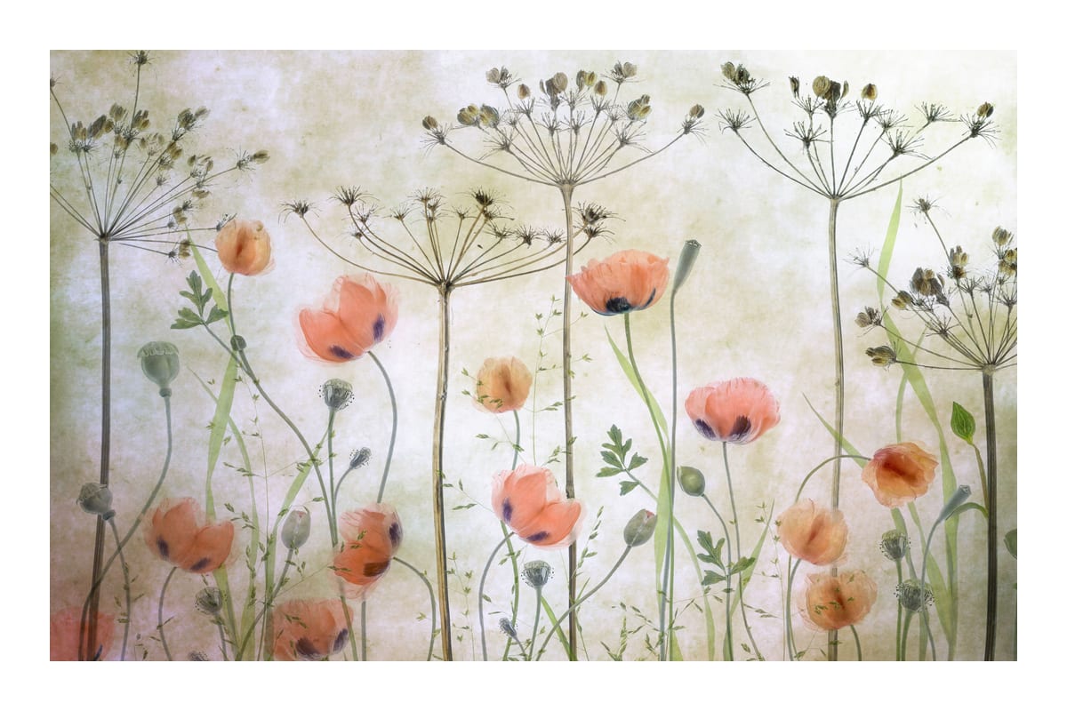 variant-60x90_with-margin