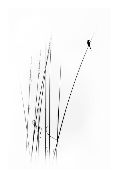 variant-60x90_with-margin