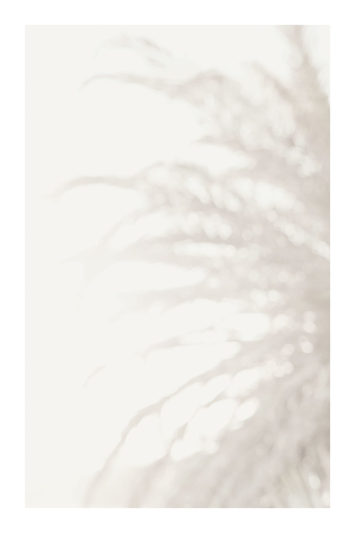 variant-60x90_with-margin