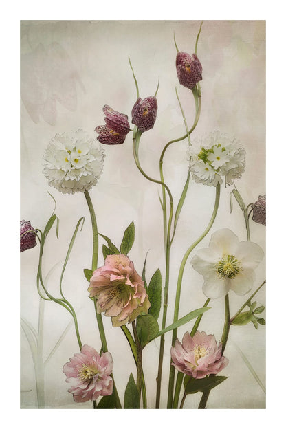 variant-60x90_with-margin