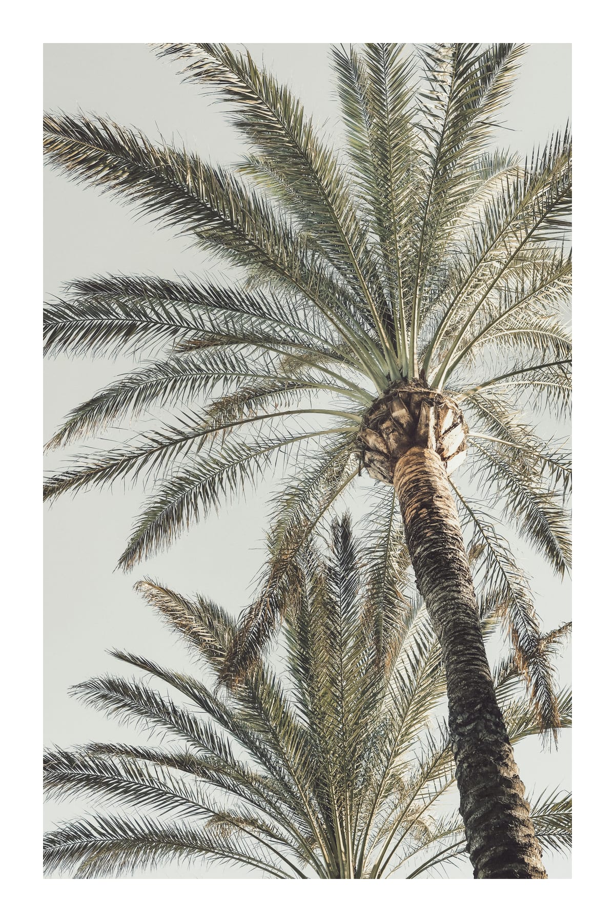 variant-60x90_with-margin