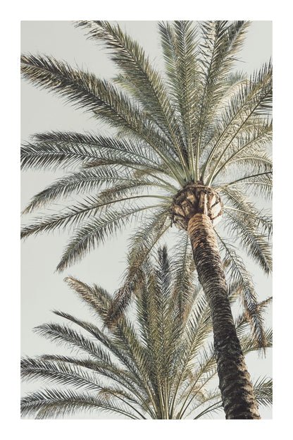 variant-60x90_with-margin