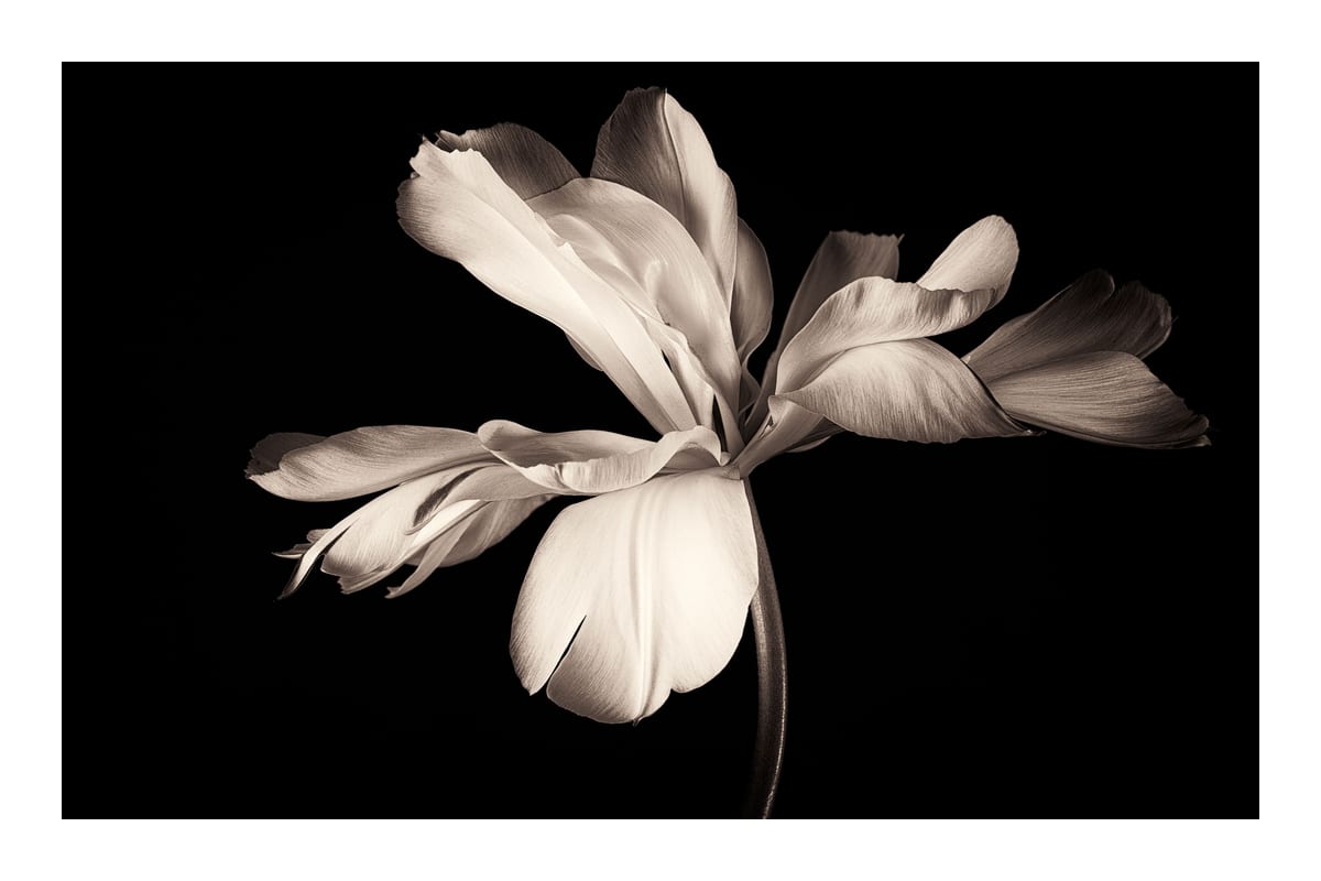 variant-60x90_with-margin