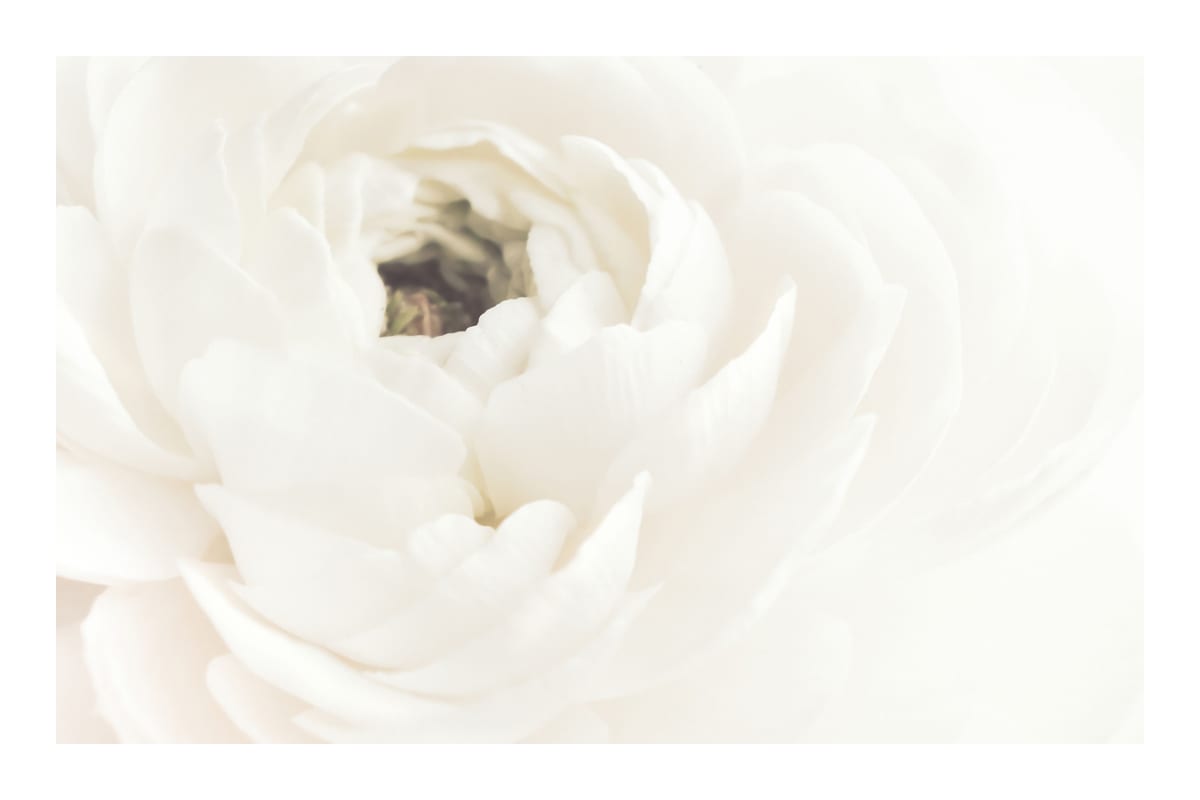 variant-60x90_with-margin