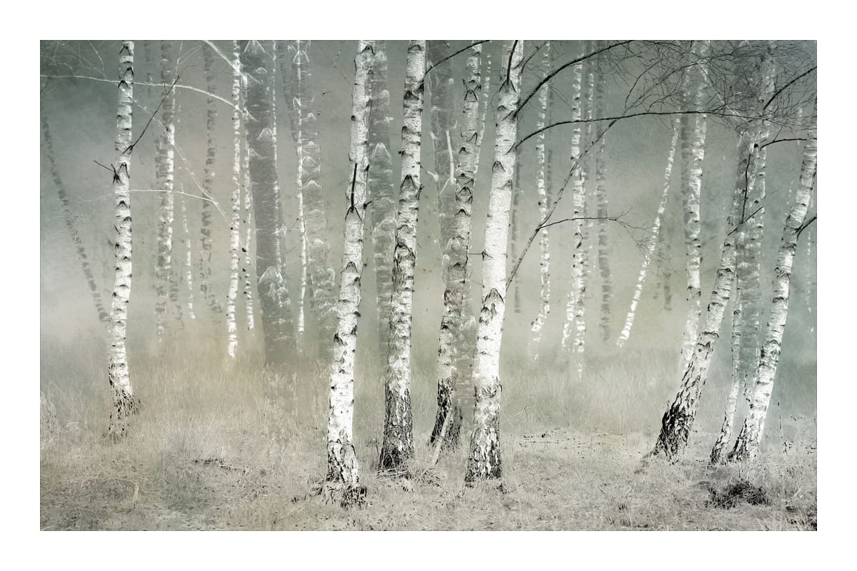 variant-60x90_with-margin