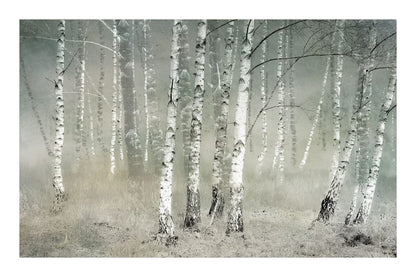 variant-60x90_with-margin